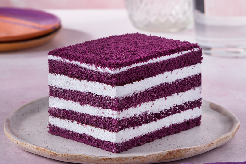 purple-velvet-2 Morbi vitae purus dictum, ultrices tellus in, gravida lectus.